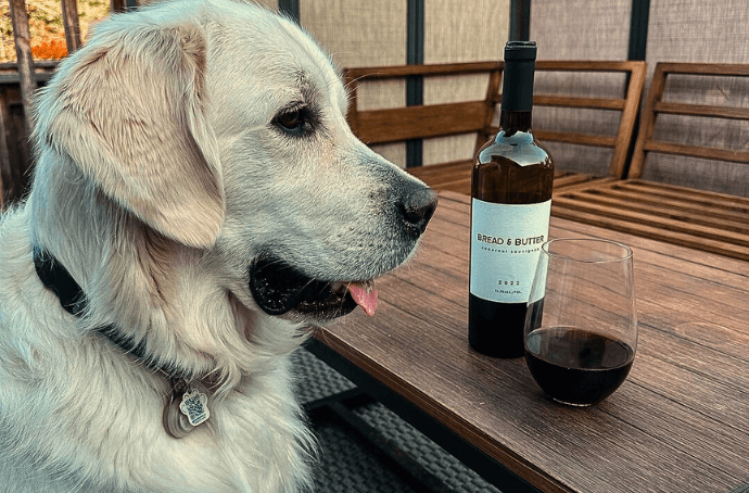 Bread & Butter Cabernet Sauvignon piesek